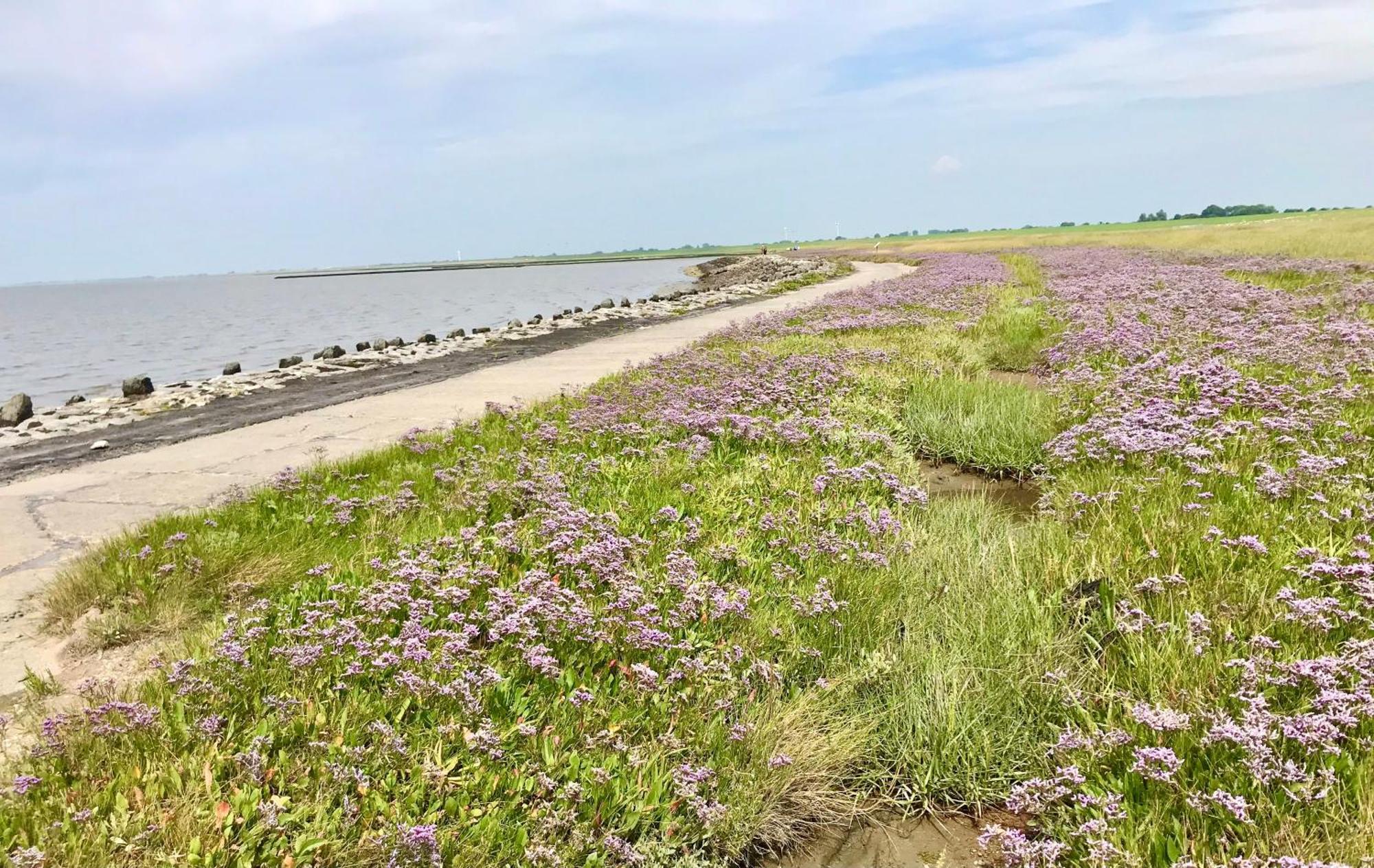 Haus Meerauszeit - Erholung An Der Nordsee Schweiburg المظهر الخارجي الصورة
